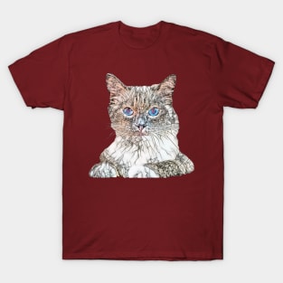 Floppy Cat Design - Ragdoll Cat Christmas Gift T-Shirt